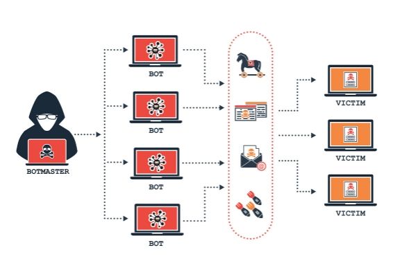 Zombie network in DDoS attacks