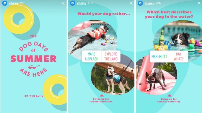 Chewy a pet food company, uses the instagram polls
